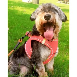 Joytale Step in Dog Harness,Soft Mesh Reflective Breathable Vest Harnesses,Easy Walk Harness with Safety Buckle for Small and Medium Dogs,L,Pink