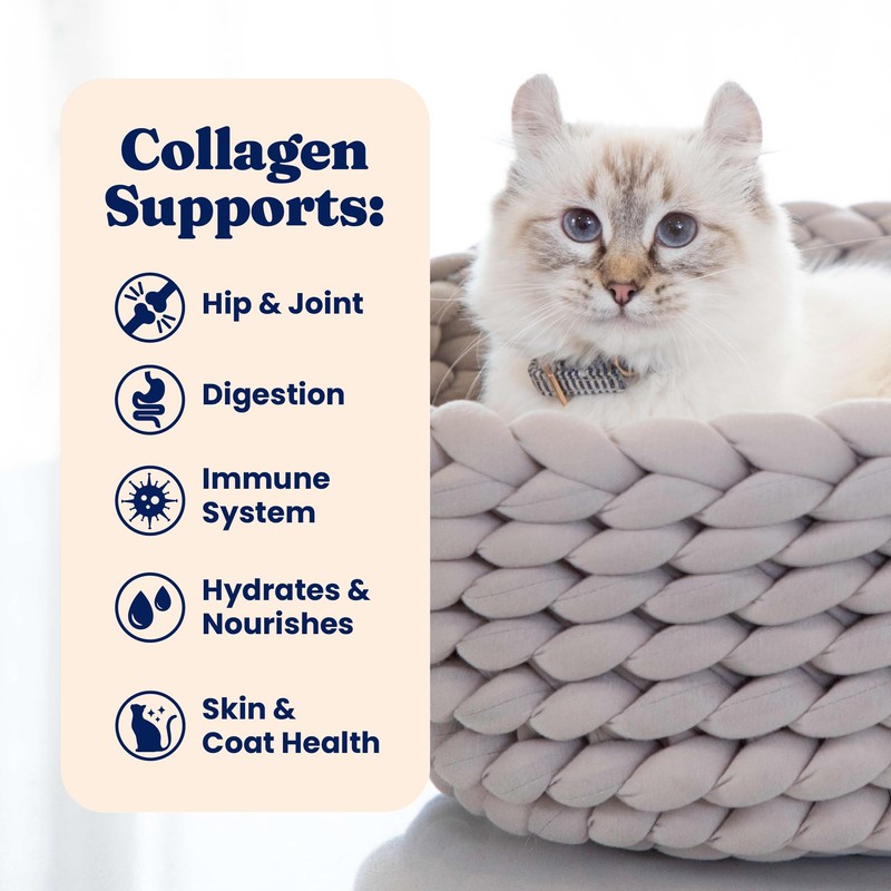 Solid Gold Bone Broth Cat Food Topper - Limited Ingredient