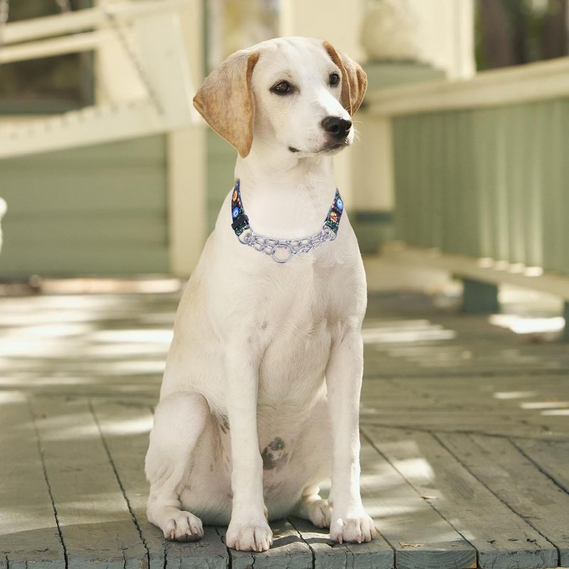 haoyueer Martingale Dog Collar - Stainless Steel Chain, No Pull