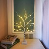 pete mici Tree Lamp, 2FT 24LT LAMP, Birch Tree-Warm White,