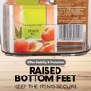 Clear Extra Large Plastic Storage Bins, Pantry Organizers and Storage
