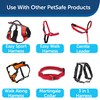 PetSafe Nylon Dog Leash - Strong, Durable, Traditional Style Leash