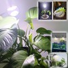 E12 Candelabra Grow Light Bulbs for Indoor Plants Full Spectrum,Small