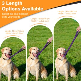 Dog Leash Heavy Duty Metal Hook,Reflective Training Lead,Nylon Traffic Padded Handle Short Dog Leashes. (Purple, 12")