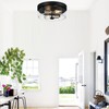 Flush Mount Ceiling Light Fixtures, 2-Light Black and Silver Ceiling