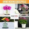wortek Filzuntersetzer rund für Vasen Blumen Glas - 6er Set