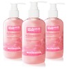 BRUBAKER Cosmetics Pack of 3 Hand Wash Lotion Liquid Soap