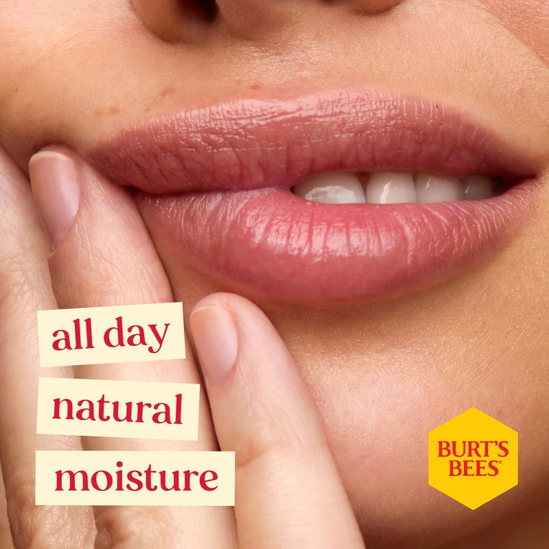 Burt's Bees Lip Balm Birthday Cake, Moisturising Lip Balm With