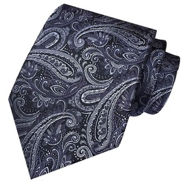 LEX STANDARD NA003 Men's Paisley Pattern Stylish Necktie, Casual Suit, Business