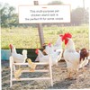 ORFOFE Chick Standing Rack Chicken Hen Rooster Perch for Poultry