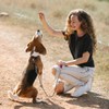 LOS ANDES Dog Slip Collar Choke Collar for Dog Training