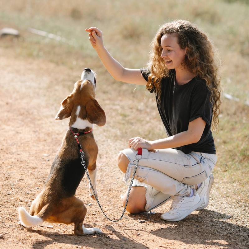 LOS ANDES Dog Slip Collar Choke Collar for Dog Training