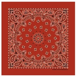 Hav-A-Hank Terracotta Paisley Bandanna, 22x22, Made in USA. 100% cotton, classic paisley print double sided. Skull cap, head band, wrist band, crafts and costumes!