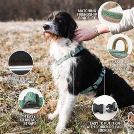 Pettsie No-Pull Dog Harness Reflective, 4 Adjustable Straps, Easy Control with 2 Leash Clips for Walking or Training, Matching Friendship Bracelet, Soft and Durable Hemp for Sensitive Skin, Carton Box