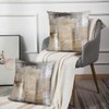 Alricc Beige and Grey Throw Pillow Covers 18X18 Brown Abstract