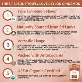 SPICY ORGANIC Ceylon Cinnamon Sticks 4 oz – True Cinnamon Quills from Sri Lanka, 3.5" Premium Ceylon Cinnamon, USDA Certified Organic, Perfect for Recipes, Crafts & Holiday Drinks – Cinnamomum Verum