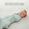 ergoPouch 1 TOG Cocoon Baby Sleep Sack 6-12 Months, Swaddle
