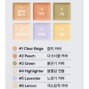 The Saem 더샘 커버 보송 멀티 컨실러 팔레트 01 커버앤코렉트