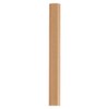 퍼니네일 강력한 스틱형 네일 마그넷 블루 Punny Nail Powerful Stick Type Nail Magnet Blue [Gold x 1 piece]