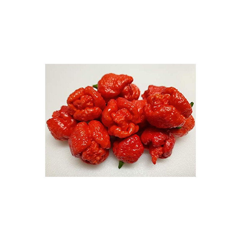 Trinidad Moruga Scorpion 6 Dried Peppers