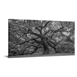 Canvbay Large Black and White Old Tree Canvas Wall Art Decor Nature Landscape Picture Tree of Life Giclee Prints Framed for Living Room Bedroom Home Decoration 20x40inch