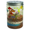 Creativity For Kids 1137000 Grow N' Glow Terrarium, 1137000