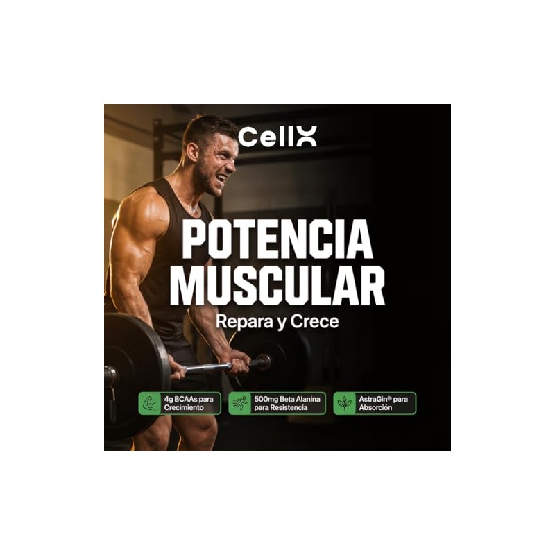 Cellx Post Workout Suplemento Deportivo Bcaas Beta Alanina Carnitina Magnesio