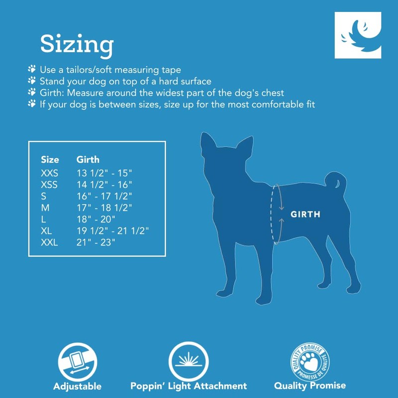 RC Pet Products Step in Cirque Soft Walking Dog Harness,