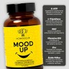 Mood Up Cápsulas NAC 5-HTP L-Triptófano Zinc Vitamina D y