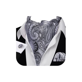 Barry.Wang Mens Silver Silk Ascort Paisley Cravat Tie Pocket Square Cufflinks Set