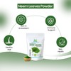 Herbal Magic's Organic Neem Leaves Powder Face Mask - Sparkle