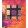Catrice Colour Blast Eyeshadow Palette, No. 010, Multicoloured, 9 Colours,