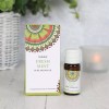 Fresh Mint Aroma Oil (10 ml) by Goloka - Scented