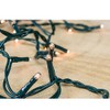 WHD Light Set String Strand - Clear Teeny Rice Bulbs