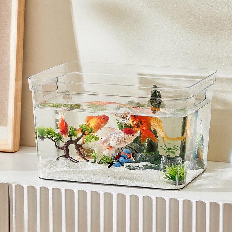 Frameless Clear Aquarium 360 Degree Visibility DIY Decoration Clear Rimless