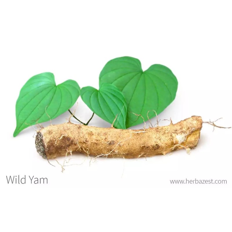 Nature Made WILD YAM HERB-menopausa