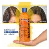 Kit 2 Piezas Shampoo Ancaida Placenta Golden 950ml C/u