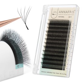 ANNAFRIS 5D Eyelash Extension, Premade Fan W C Curl, 13 mm, Pre-Fanned Ready-to-Use Fan Eyelash Extension, 5D Russian Volume Eyelash Extension, Cluster, Artificial Lash (0.07-C 13 mm)