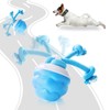 EHWZ Interactive Dog Toys Ball, 2025 New Vibrating Dogs Toy