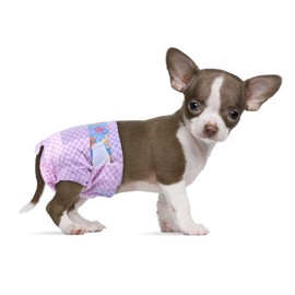 Flying Paws Disposable Female Dog Diapers, Puppy Diapers with Adjustable Elastic Waistline for Female Dog or Cat in Heat,Incontinence, Diaper with Wetness Indicator, XXS-10 Count