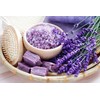 Seeds Lavender Herbs Garden for Planting Non GMO