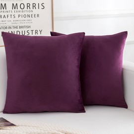 HERAYLI Velvet Decorative Throw Pillow Covers, Soft Square Cushion Case Home Decor for Living Room Couch Bed Sofa, Set of 2 Pack, Eggplant Purple, 18x18 Inch