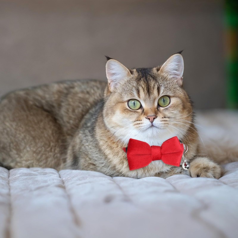 2 Pcs Cat Collars with Bow Tie & Bell Cat