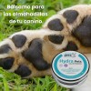 TIMEPHORIA Tinta para Labios Mate Difuminado, Larga Duración 24 Horas,