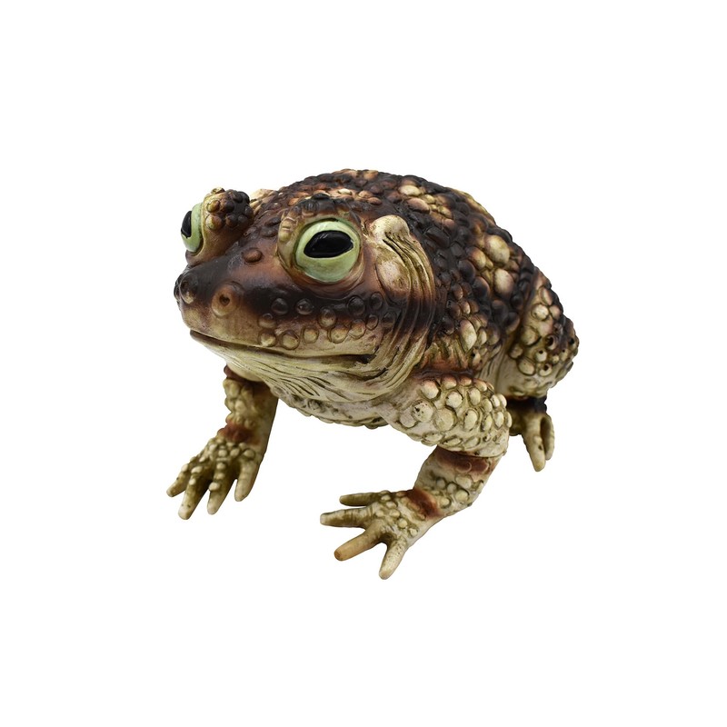 Nicky Bigs Novelties Giant Rubber Toad Prop Decoration, Multi, 25cm