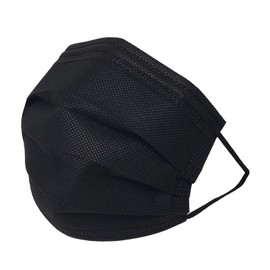 Black Mask Disposable Large Capacity Value Pack 50 Sheets + 1 Black 4 Pack (204 Sheets) Simple Package Everyday Mask