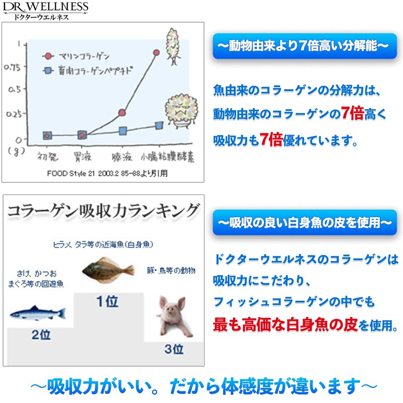 Dr. Wellness Natural Marine Collagen, 60 Packets (Granules), 30 Day