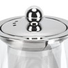 Tomotato Glass Teapot with Removable Stainless Steel Infuser, Heat-Resistant Clear