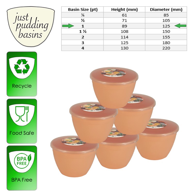 Just Pudding Basins Pastel Colours Peach 1 Pint Basin and
