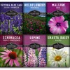 Survival Garden Seeds Perennial Flowers Collection - Shasta Daisy, Echinacea,